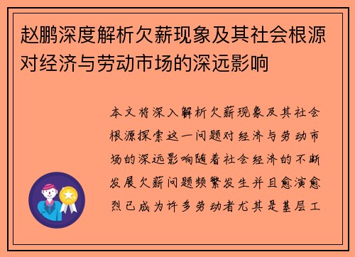 赵鹏深度解析欠薪现象及其社会根源对经济与劳动市场的深远影响