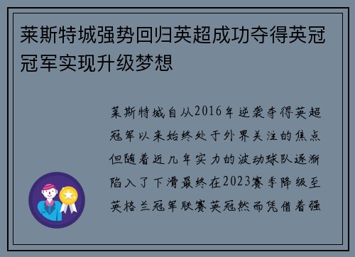 莱斯特城强势回归英超成功夺得英冠冠军实现升级梦想